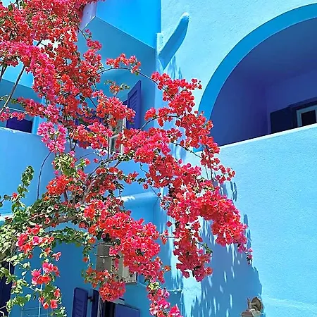 Celeste Naxos Chora 3* Naxos City